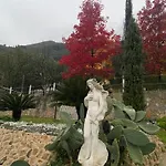 Sotto Il Cielo Di Toscana * Камайоре